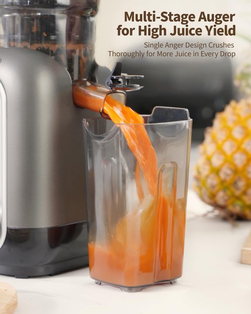 Zachvo Cold Press Juicer Machines, 5.8" Large Feed Chute Slow Masticating Juice Maker for Whole Vegetable and Fruit, Easy to Clean, 300W High Juice Yield - MP-802M (Black)