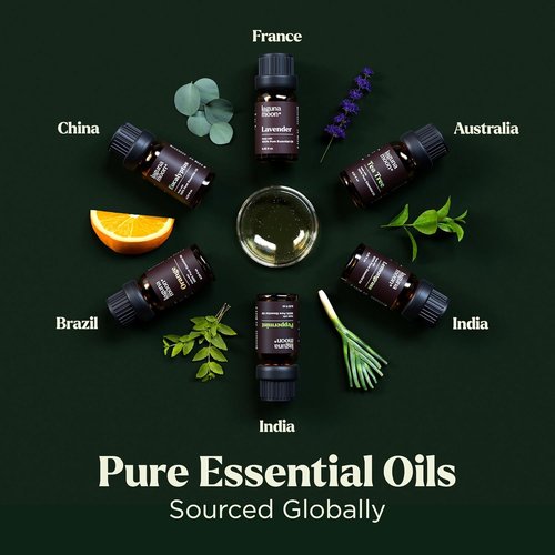 Lagunamoon Essential Oils Aromatherapy Set - 6 Premium Oils for Diffusers & Home Care | 10mL Each
