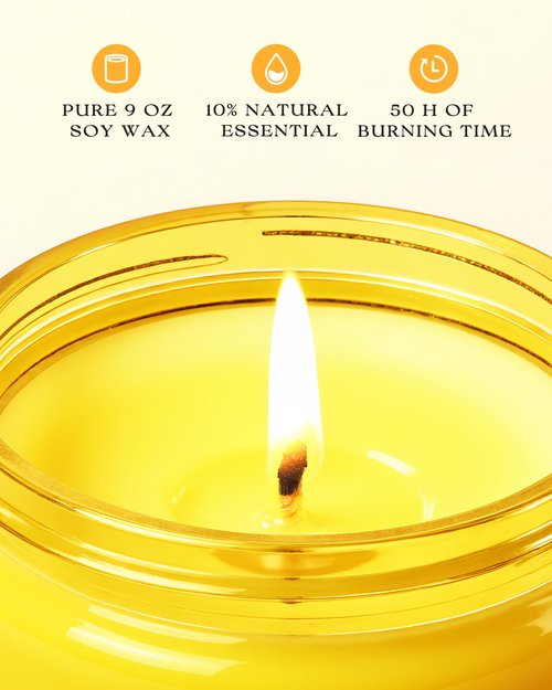 AOOVOO 4 Pack Citrus Lemon Odor Eliminating Highly Fragranced Candle - Eliminates 95% of Pet, Smoke, Food, and Other Smells Quickly, Non Toxic Air Freshing Soy Candle