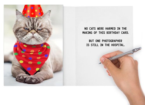 Funny Cat Birthday Card for Women, Men, Coworkers, Friends & Family - no cats were harmed in the making of this card.