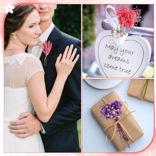 11 Kinds of Dried Flowers for Crafts Bulk DIY Natural Multi-color Wildflowers Dried Pampas Grass Lavender Forget Me Not Babys Breath with Stem Floral Arrangement Bouquets with Hemp Rope for Home Decor
