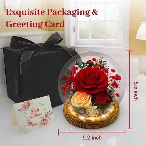 DAKEYUN Preserved Flowers Birthday Gifts for Women Preserved Rose in Glass Dome Forever Fresh Flowers for Delivery Prime Red Eternal Rose Gifts for Her Valentines Day Anniversary for Wife Girlfriend
