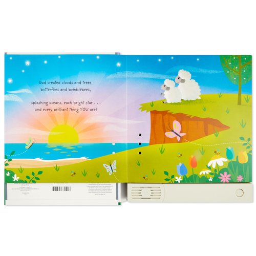 Hallmark Recordable Book for Children (God Made You Wonderful) Easter Basket Stuffers