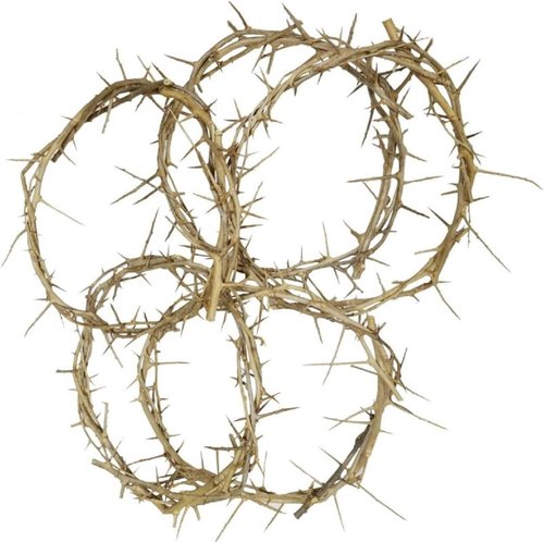 Bethlehem Gifts™ Crown of Thorns | Authentic Life-Size Design (4-6" Diameter) from Jerusalem