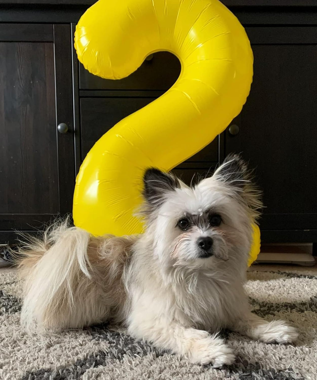 Number 6 Balloon - 40 Inch Yellow 6th Birthday Decoration for Men & Women | Perfect for Parties & Events