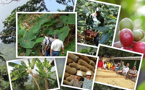 Jim’s Organic Coffee – Colombian – Single Origin, Medium Roast - Whole Bean, 5 lb Bag