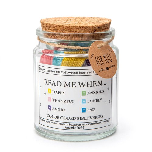 LIVOPARA Read Me When Bible Verses Jar for Daily Encouragement，God is Above Bible Verse Jar for Wemen&Men&Teens，Christian Gifts for Women，96 Bible Verses Cards