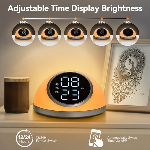 Fansbe Direct Alarm Clocks Up to 10 Alarms Alarm Clock for Bedroom, White
