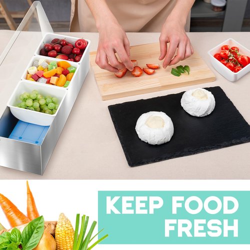 Mifoci 2 Pack Stainless Steel Chilled Condiment Server 4 Removable Slot Toppings Containers with Lid and Bottom Ice Bar Garnish Tray with 9 Silverwares 8 Ice Boxes for Christmas Party, Events and Bar