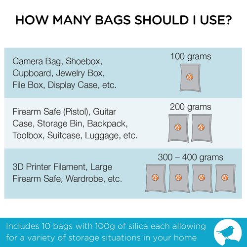 BIRDROCK HOME Reusable Desiccant Pack 100g (10-Pack) – Silica Gel Moisture Absorber & Humidity Control Packs for Electronics, Camera Bags, Gun Safes, Luggage & Storage