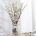 Natural Preserved Dried PussyWillow Branches for Vases, 15 Stems Real Willows, 17" Snow Pussywillows, Dried Flowers for Indoor and Outdoor Decor, Wedding Home DIY Floral Art Plants Fireplace