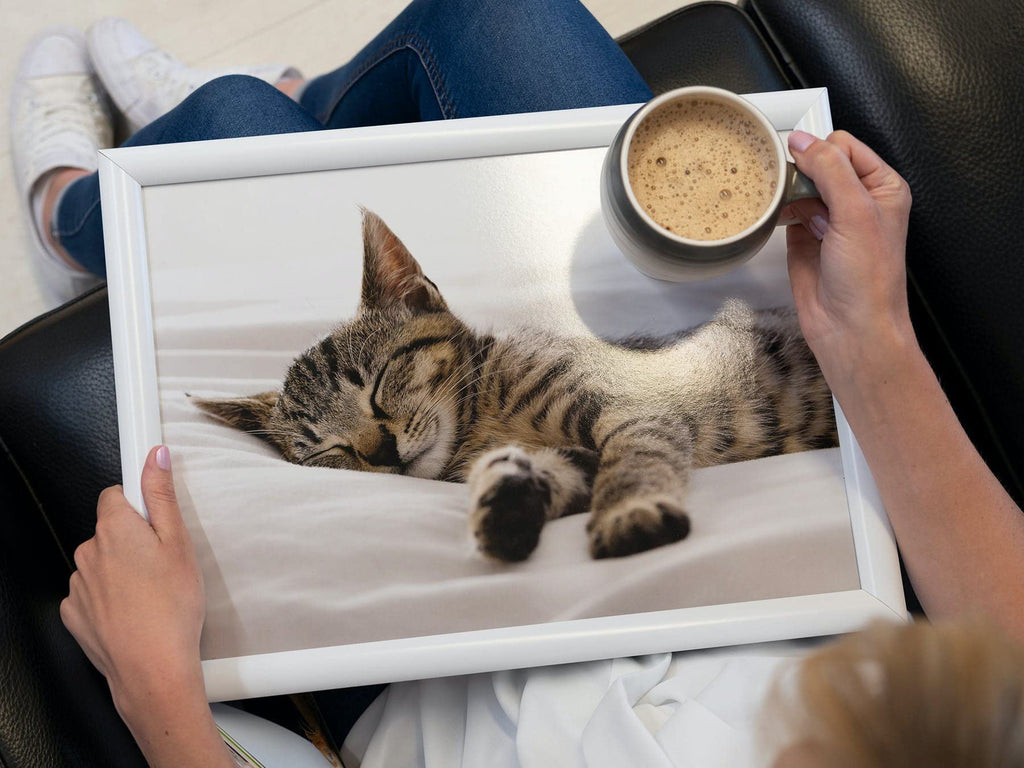 Creative Tops Kitten Lap Tray with Cushion, Bean Bag Cushioned, 44 x 34cm, Multi-Colour