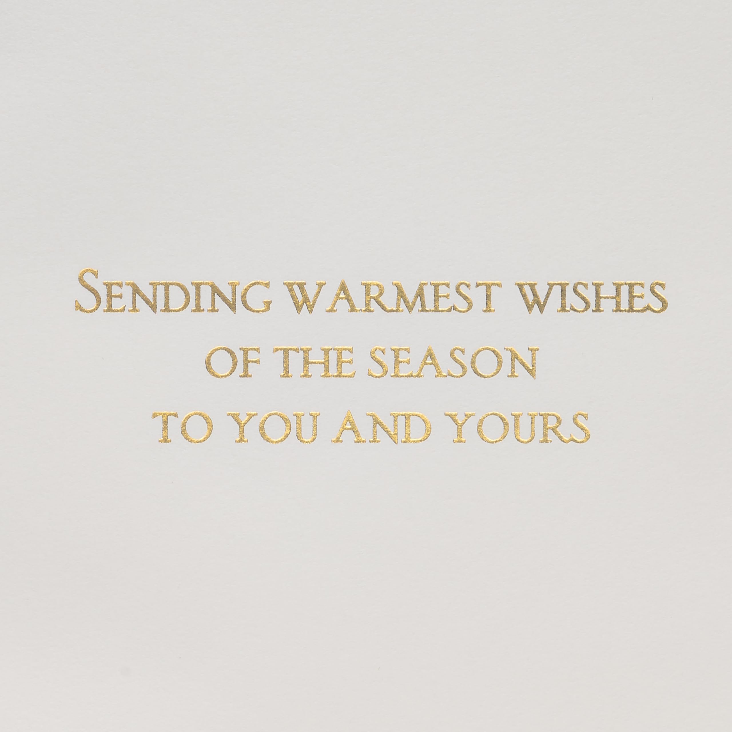 Papyrus Quilled Wreath Holiday Card, Perfect for Friends & Family (Warmest Wishes)