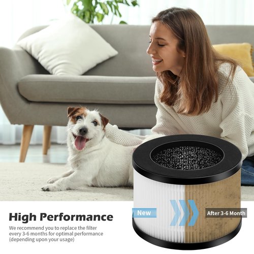 2 Packs BW301 Replacement Filters Compatible with MORFY BW301 and AGILEBOW BW301 Air Purifi-er 3 in 1 filter with Premium Filter and Activated Carbon Fllter with Extra 4 Pieces Aroma pads