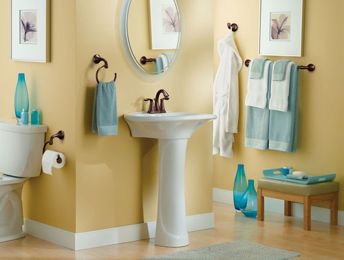 Moen Eva Brushed Nickel European Single Post Toilet Paper Holder, Wall Mounted Toilet Tissue Holder, YB2808BN