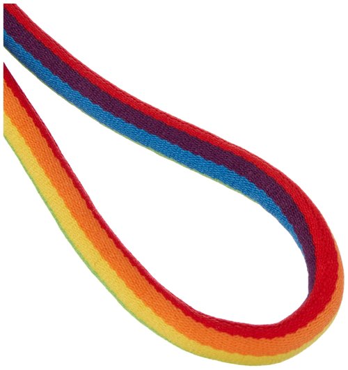 Pantone Designer Lanyard Key Chain Short Key Chain for Wrist, Robust and Colourful, Pride Colors, Nylon, Short, 18617
