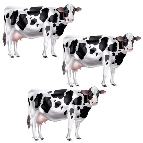 Beistle Set of 3 Jointed Cow Photo Prop Backdrops, 35"- Western Wall Decoration, Holstein Farm Animal Barnyard Party Cut Outs