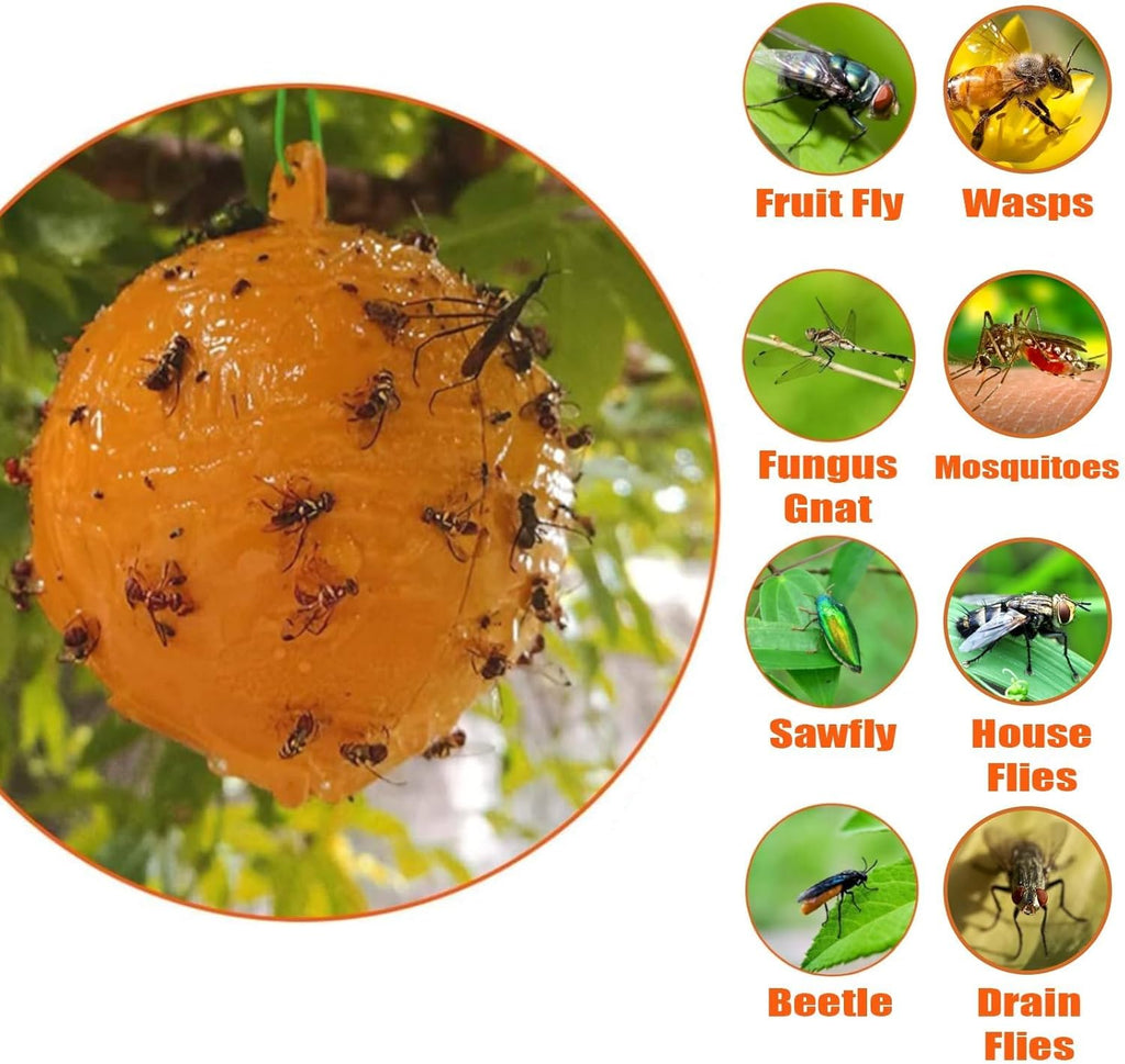 Skiennix 6 PCS Fly Sticky Trap Balls - Effective Fruit Fly & Gnat Catchers for Indoor & Outdoor Use