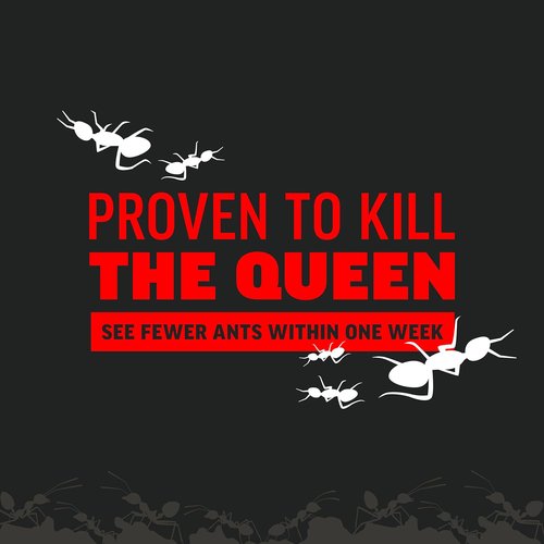 Amdro Ant Killer - Effective Outdoor Perimeter Protection | 12oz Size