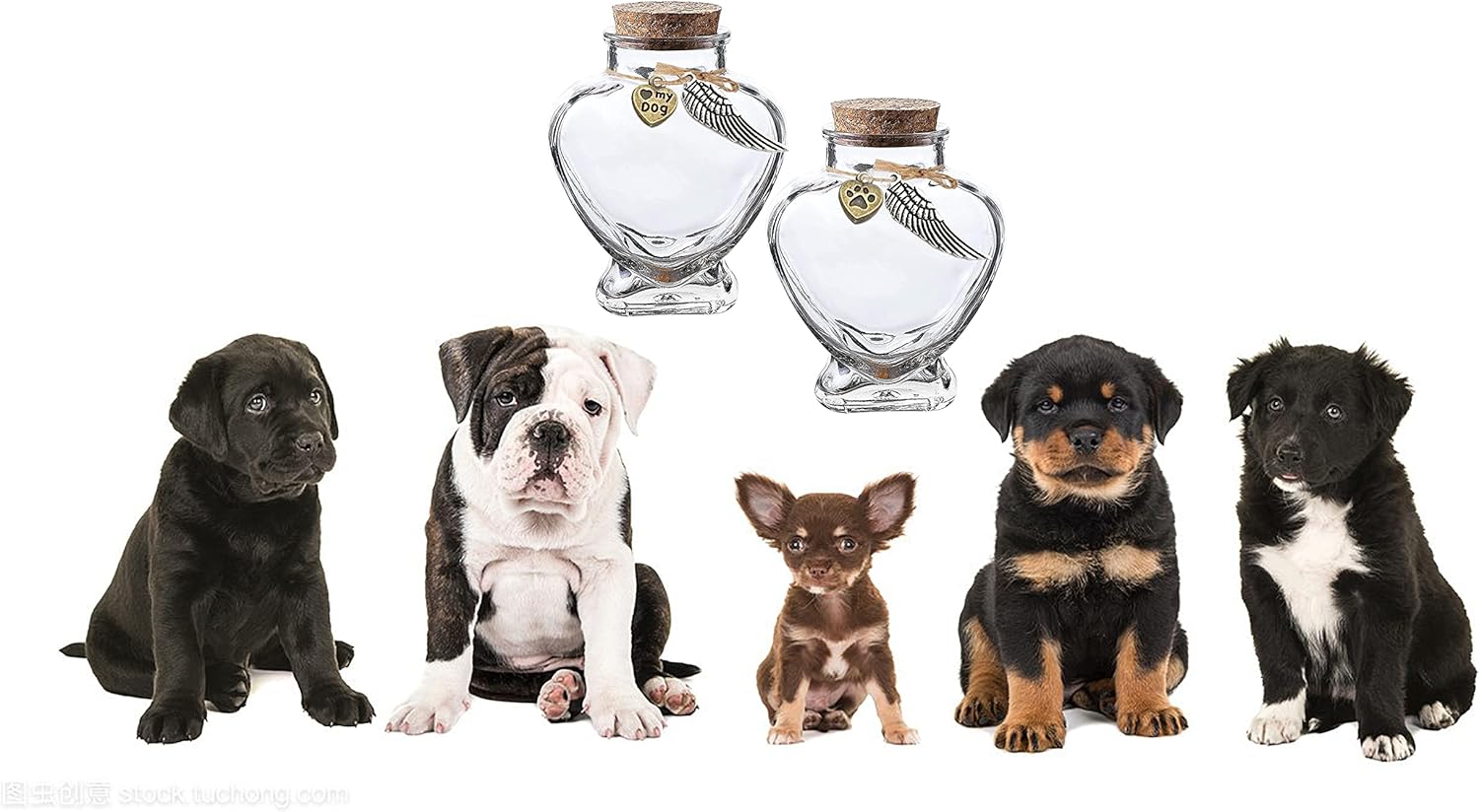 Skiennix Memorial Bottle for Pet Hair - Keepsake Urn for Dog & Cat Fur | Elegant Pet Memorial