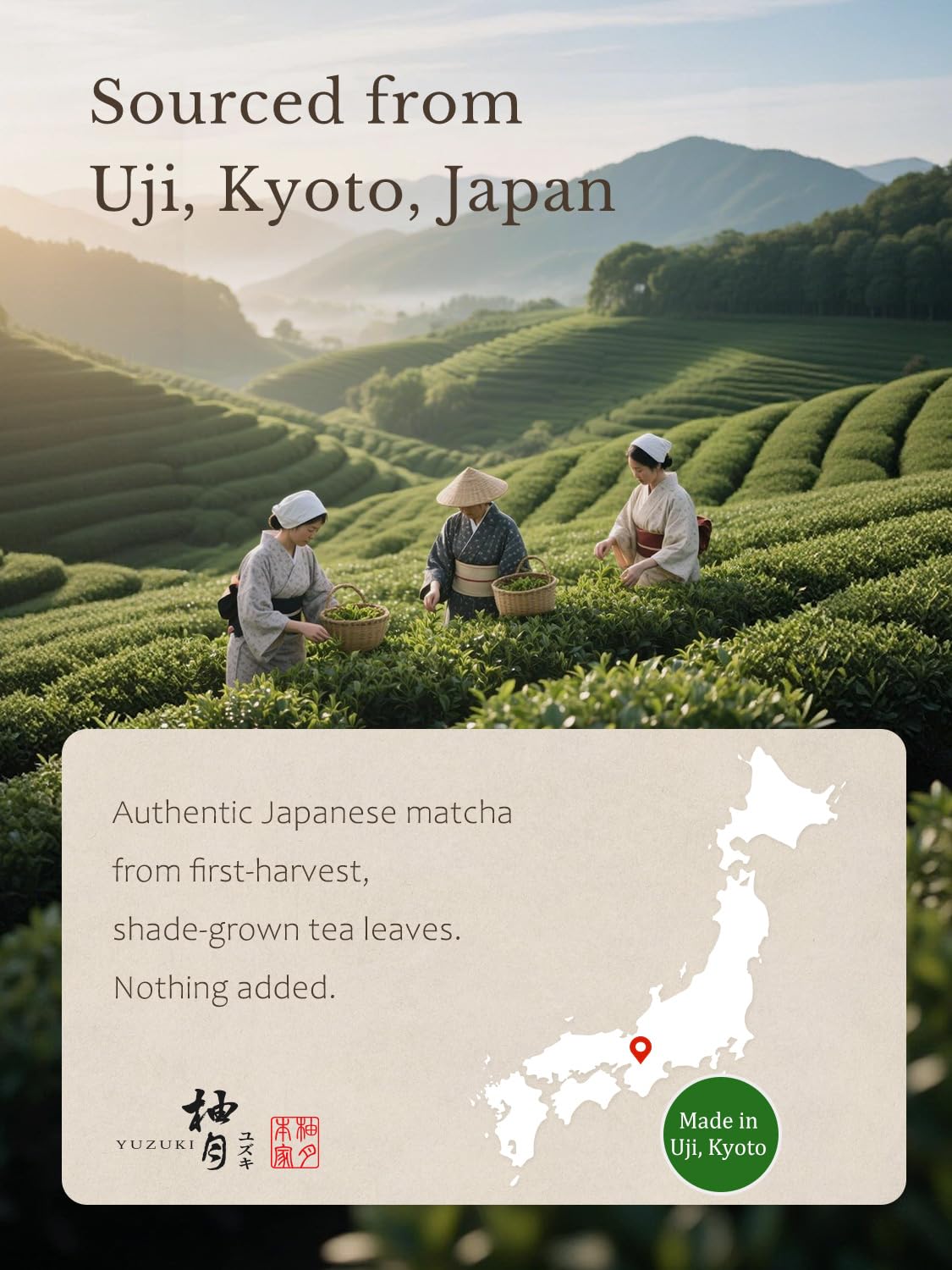 YUZUKI Matcha Powder - Ceremonial Grade Green Tea - First Harvest, Zero Sugar, 100g | USDA & JAS Certified