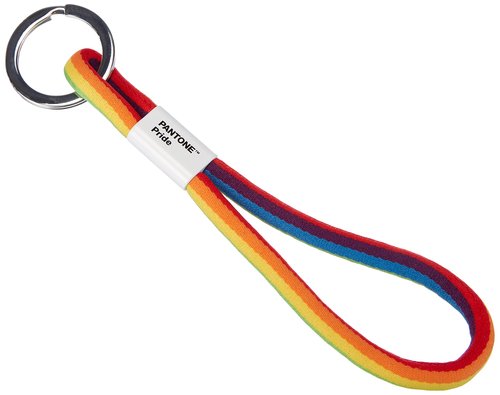 Pantone Designer Lanyard Key Chain Short Key Chain for Wrist, Robust and Colourful, Pride Colors, Nylon, Short, 18617