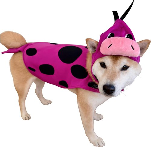 ComfyCamper Dinosaur Costume Headpiece & Cape for Dogs - Purple Dino Cosplay | XS-XXL Sizes