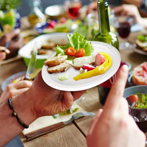Greconv 6 inch Small Compostable Dessert Paper Plates - 500 Pack, Made from Sugarcane Fibers