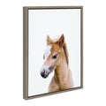 Kate and Laurel Sylvie Animal Studio Baby Horse Framed Canvas Wall Art by Amy Peterson Art Studio; 18x24 Gray; Modern Pony Portrait Art for Wall