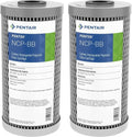 Pentair Pentek NCP-BB Big Blue Carbon Water Filter, 10-Inch, Whole House Non-Cellulose Carbon Impregnated Pleated Filter Cartridge, 10" x 4.5", 10 Micron, Pack of 2