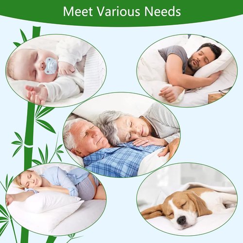 GOONIK Queen Mattress Protector - Breathable Bamboo Viscose Waterproof Pad Cover | Fits 6-18 Inch Deep Mattresses