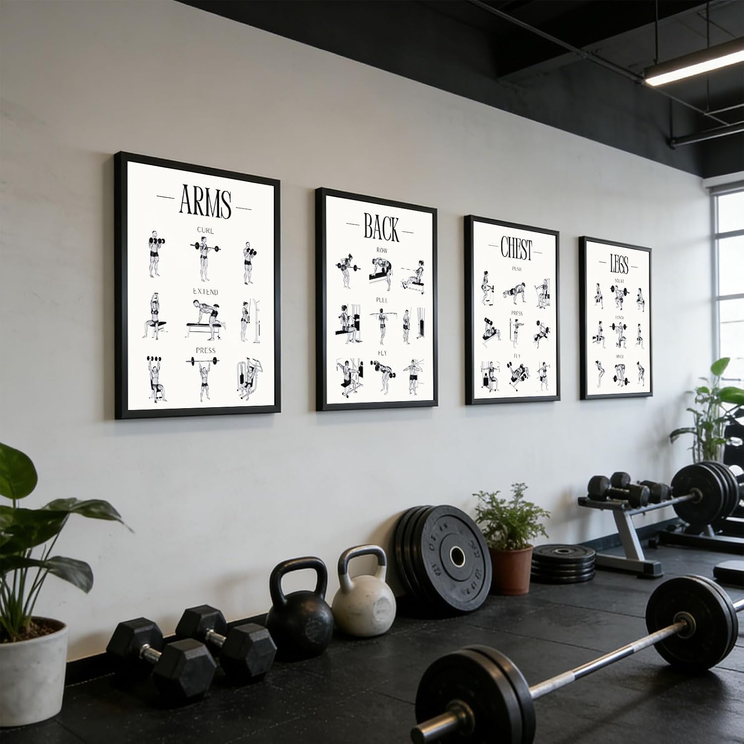 Skiennix Fitness Exercises Wall Art - Dumbbell Workout Poster for Gym & Home Decor | Strength Training