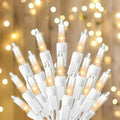 TW SHINE Warm White Christmas Lights - 20FT 100 Count Waterproof Indoor/Outdoor String Lights
