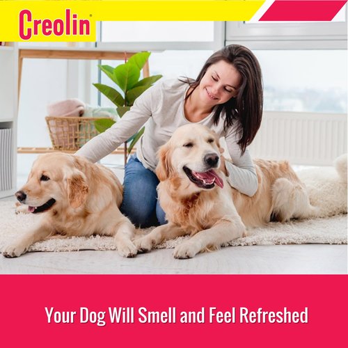 OAKHURST COMPANY Creolin Deodorizing Multi-Purpose Cleanser, 3 Ounces
