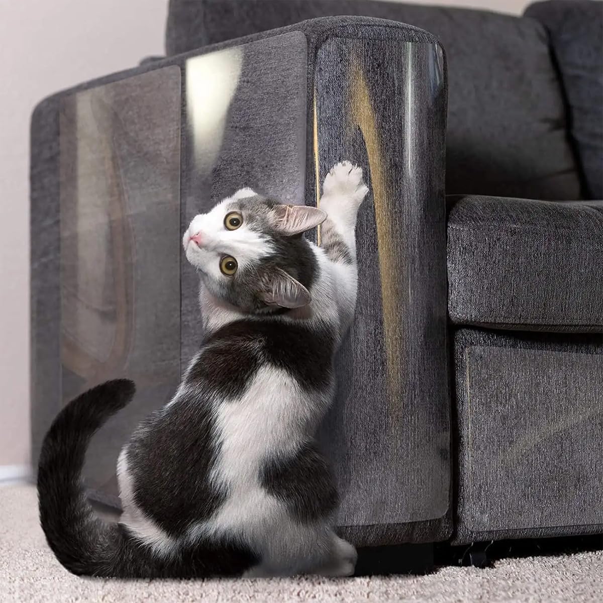 Skiennix Anti-Cat Scratch Furniture Protector - 12"x200" Single-Sided Sticky Tape for Sofas, Carpets & Doors