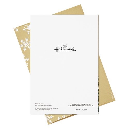 Hallmark Boxed Christmas Cards, Making Spirits Bright (16 Cards and Envelopes)