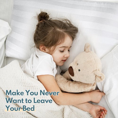 HEYCUZI Queen Size Bed Pillows Set of 2 - Premium Down Alternative Breathable Pillows for Side, Back, and Stomach Sleepers Fluffy Hotel Quality Soft Microfiber Fill Skin-Friendly