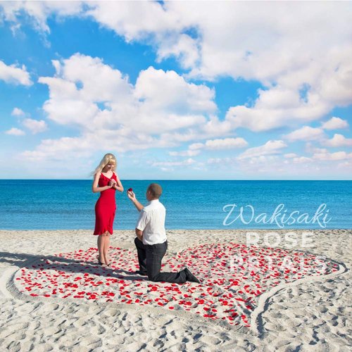 (Pre-Separated, Scented) WAKISAKI Artificial Silk Rose Petals for Wedding Flower Petals for Romantic Special Night, for Proposal, Anniversary (1,000 PCS, Dark Red)