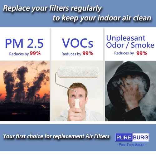 PUREBURG Replacement Filter Compatible with Rabbitair BioGS BioGP SPA-421A SPA-582A Air Purifiers, H13 HEPA Air Clean dust PM2.5 Odor smoke VOCs
