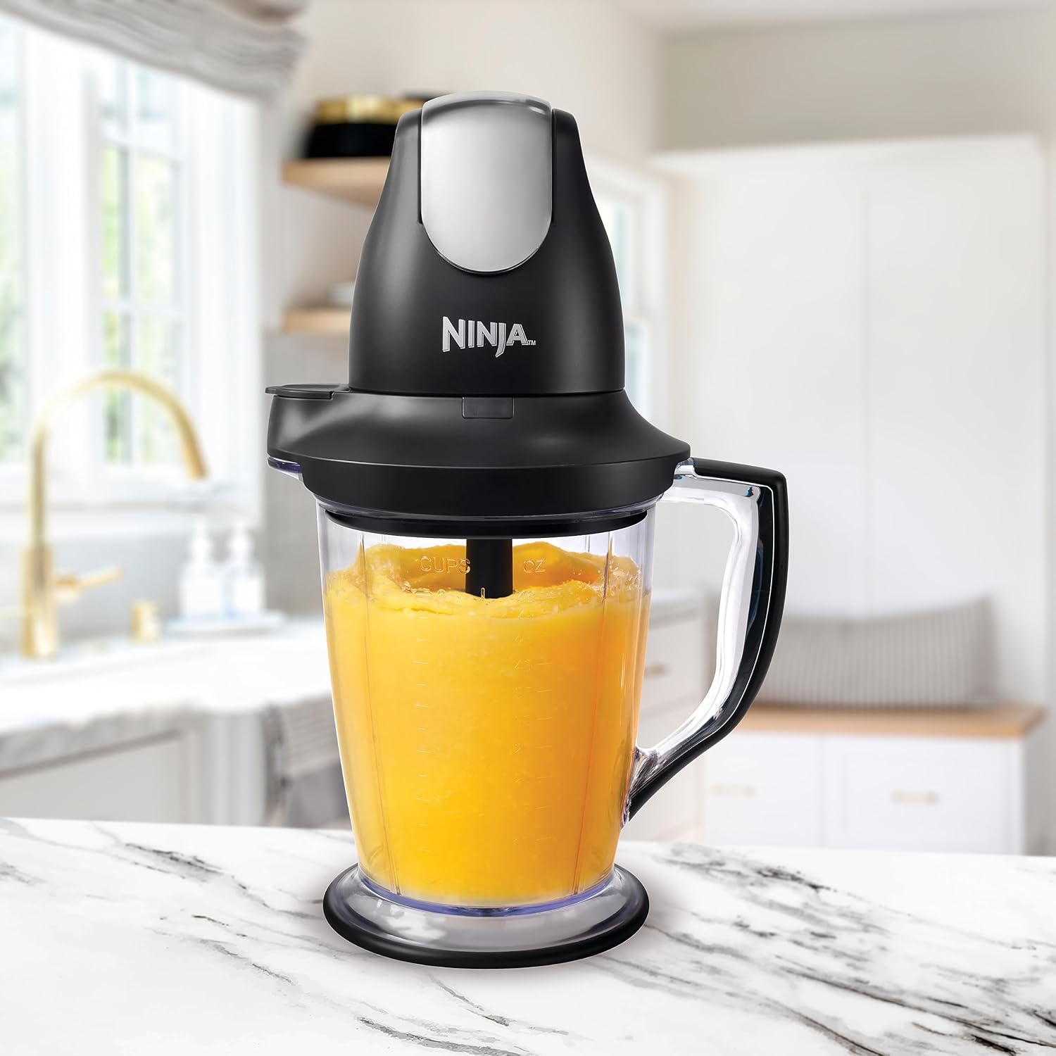 Ninja QB1004 Blender - 450-Watt Food Processor with 48oz Pitcher & 16oz Chopper Bowl | Black