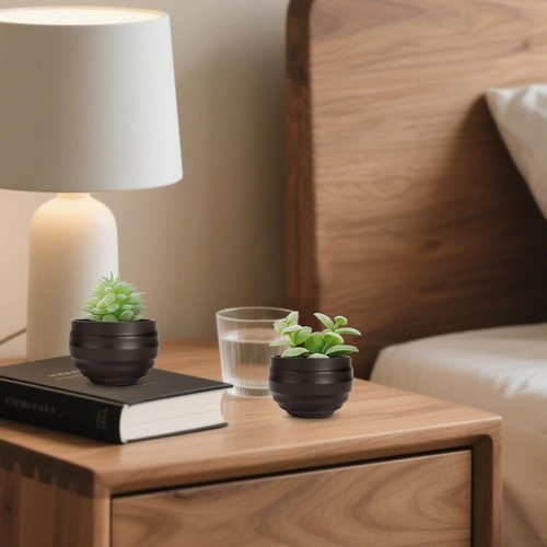 Der Rose Set of 6 Artificial Succulent Plants in Pots - Perfect for Halloween & Home Decor