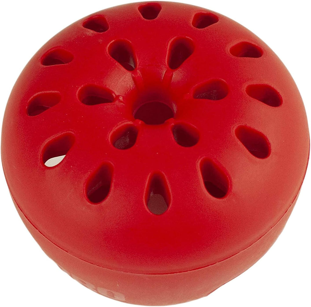 Terro Fruit Fly Trap - Effective Indoor Pest Control | 3 Traps Included