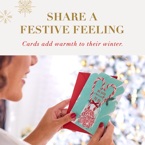 Papyrus Elegant Christmas Card with Red Poinsettia, Perfect for Anyone (Wonderful Holiday)