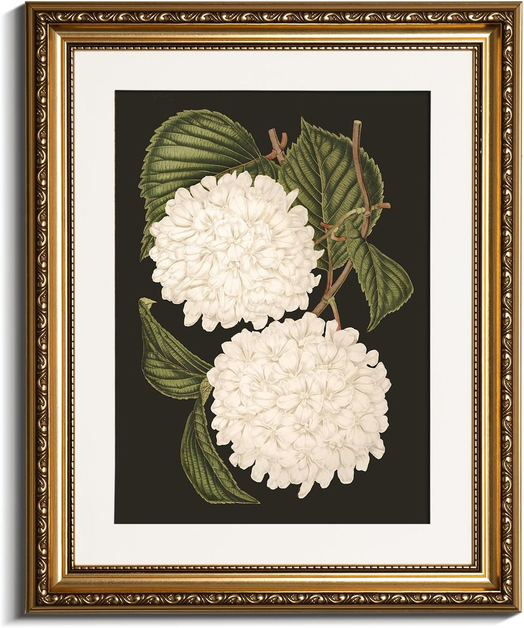 VIYYIEA Gold Framed Wall Art - White Hydrangea Canvas Print for Elegant Home Decor | 13x16in