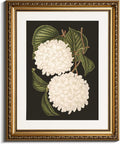VIYYIEA Gold Framed Wall Art - White Hydrangea Canvas Print for Elegant Home Decor | 13x16in