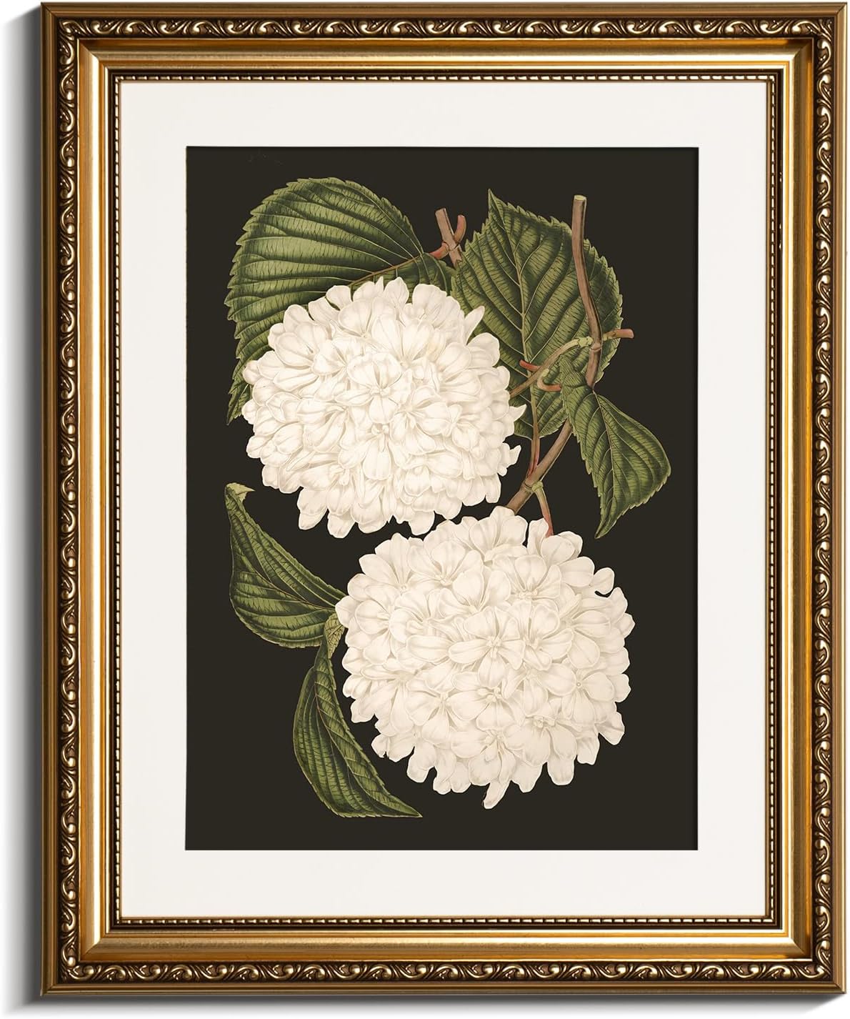 VIYYIEA Gold Framed Wall Art - White Hydrangea Canvas Print for Elegant Home Decor | 13x16in