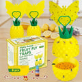 Fruit Fly Trap - Effective Gnat Killer with Non-Toxic Reusable Stickers | 2 Pack for Indoor Use