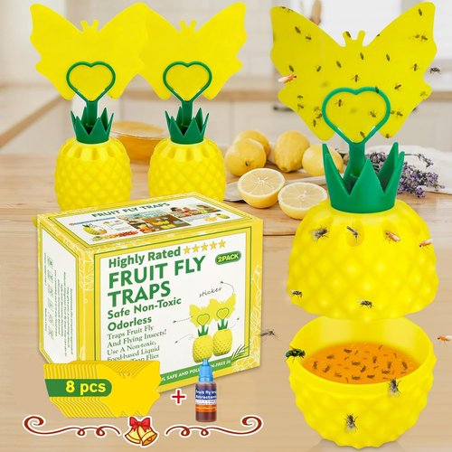 Fruit Fly Trap - Effective Gnat Killer with Non-Toxic Reusable Stickers | 2 Pack for Indoor Use