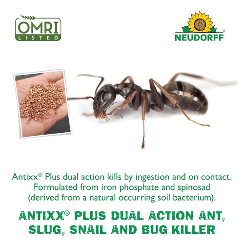 Neudorff ANTIXX Plus Ant & Insect Control Granules - Organic Solution for Ants, Crickets & More