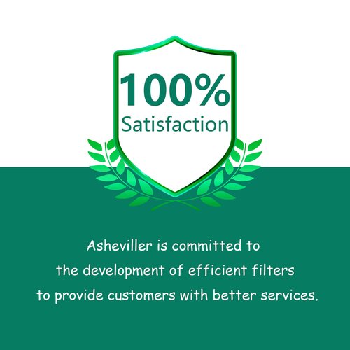Asheviller AP300 Filter Replacement, Compatible with Instant® AP300 Air Purifier, H13 Grade True HEPA and Activated Carbon Filters, Compare to F300 Filter,2 Pack